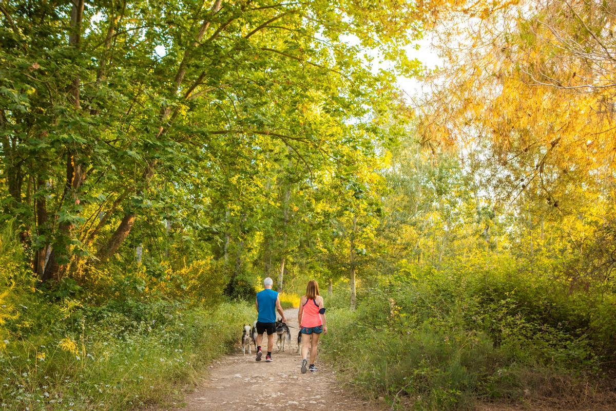 Parc Fluvial Riba Roja Turia. El trail running llega a la ciudad con una experiencia deportiva ecorresponsable.