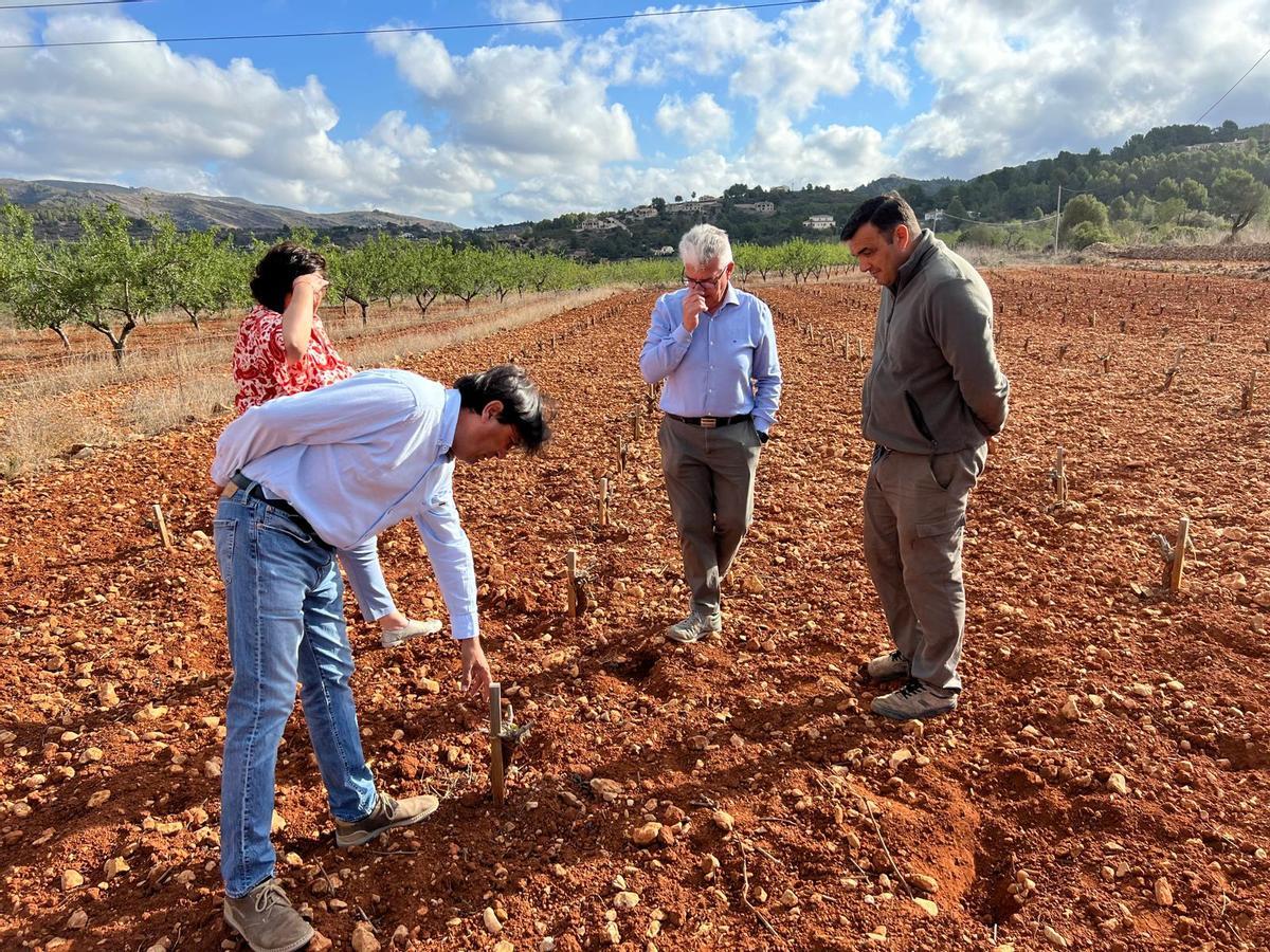 Jose Vicente Andreu visita los cultivos de la Vall del Pop