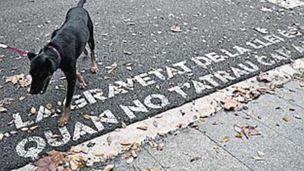 Pintada en un paso de peatones.