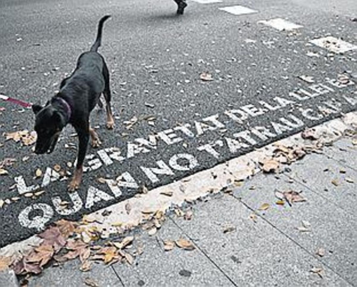 Pintada en un pas de vianants.