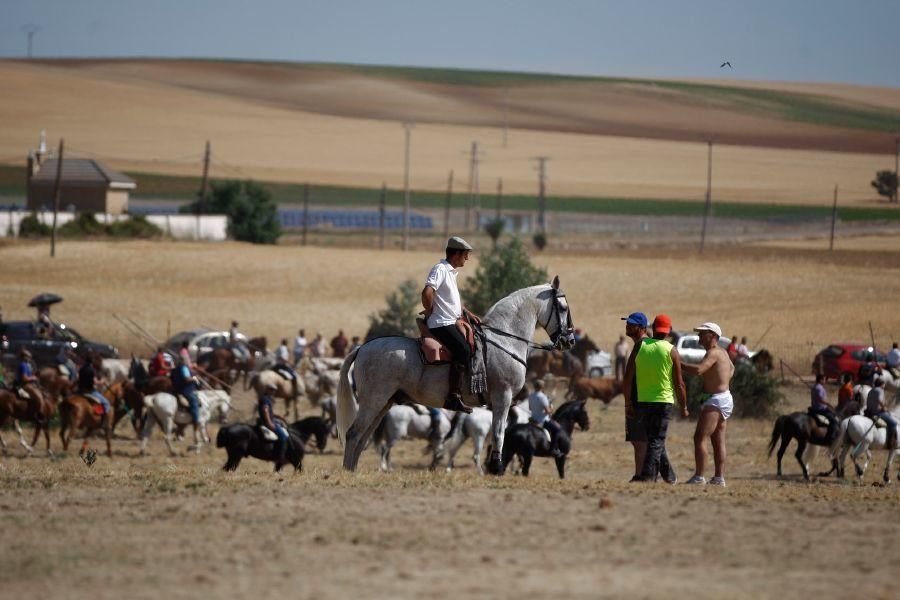 Encierro de campo en Guarrate