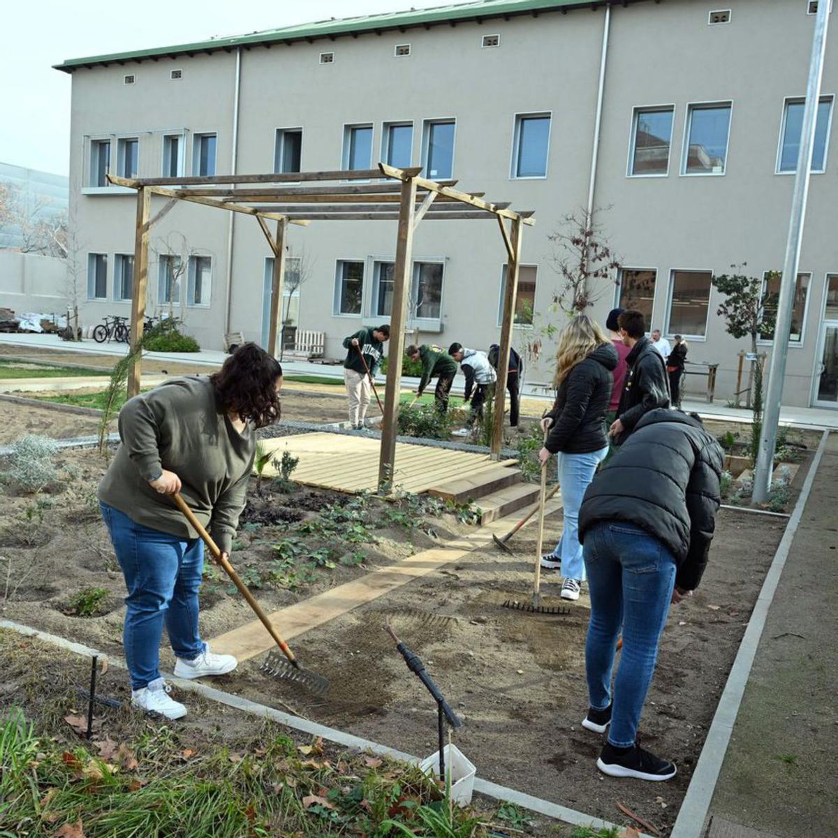 Jardiners experts en sequeres Jardiners experts en sequeres