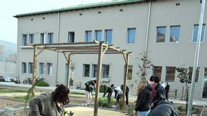 Jardiners experts  en sequeres