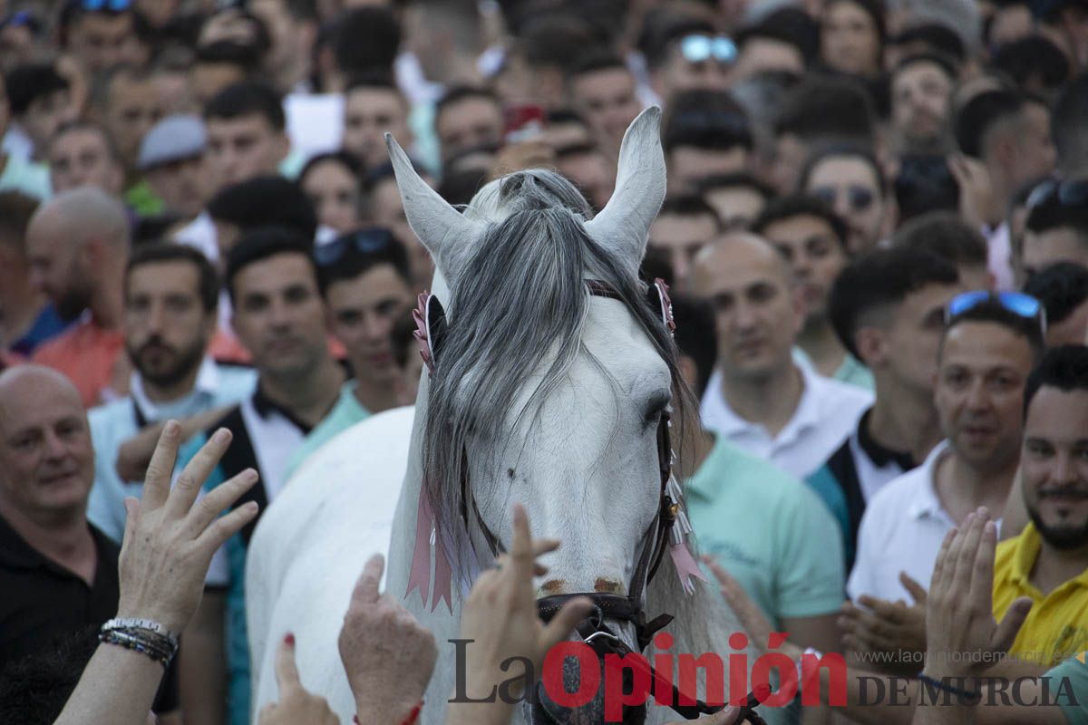 Fiestas de Caravaca | Entrega de premios del concurso morfológico
