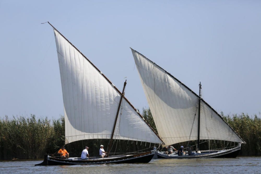 Regata-exhibición de vela latina en l'Albufera