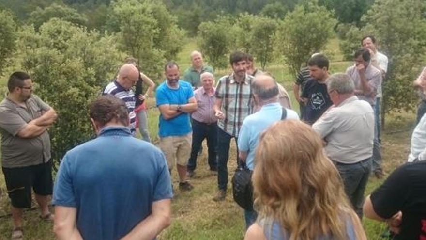 Les novetats en reg per al cultiu de tòfona reuneixen 80 persones a Solsona