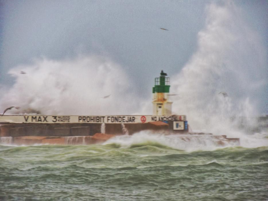 Temporal a Sant Feliu de Guíxols.