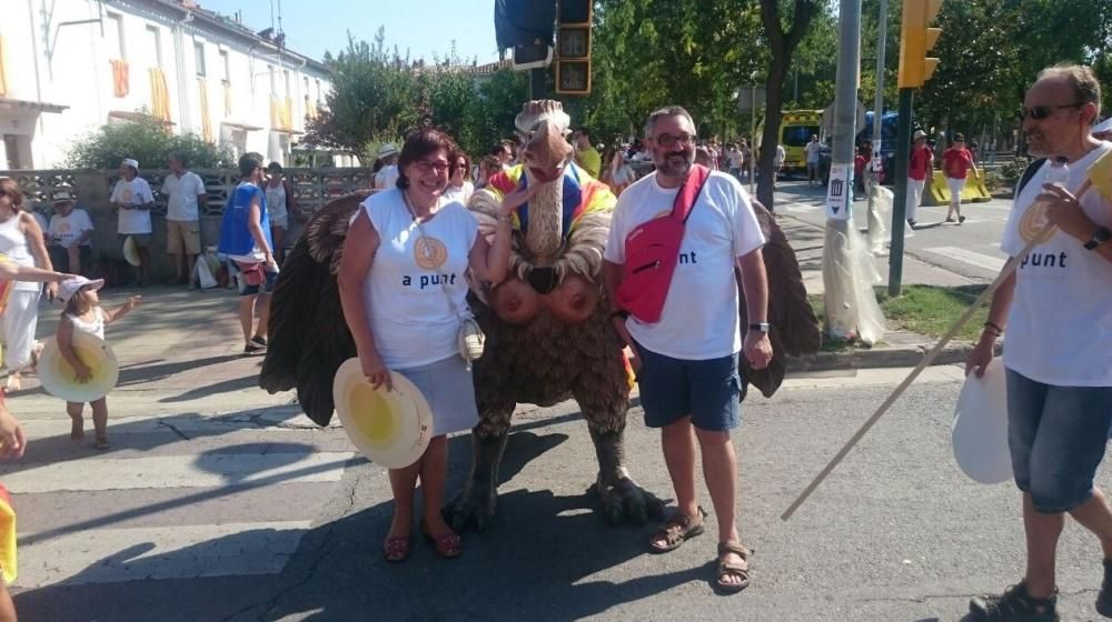 Actes de la Diada a Salt