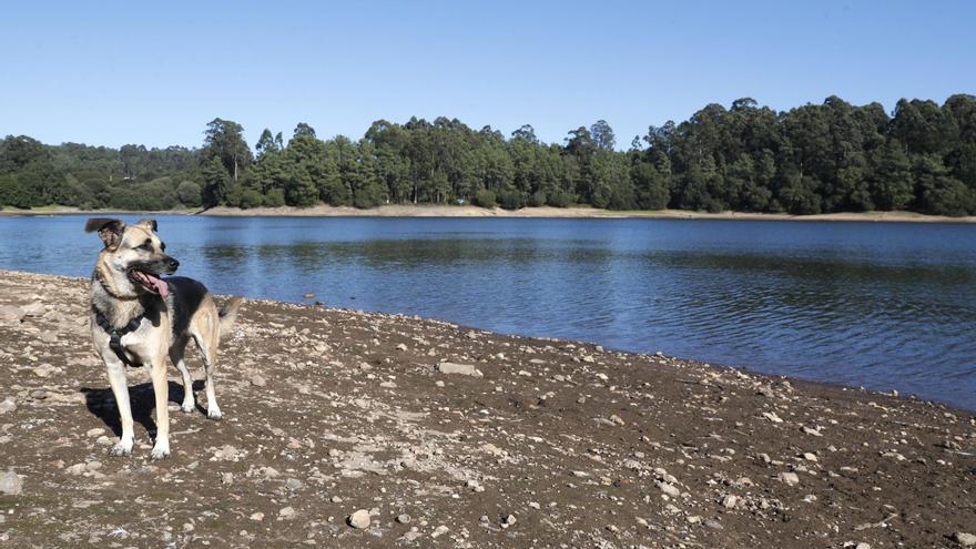 Galicia usará la inteligencia artificial para gestionar el agua ante el cambio climático