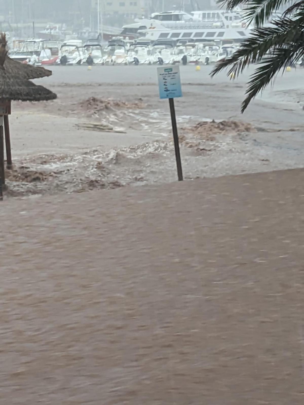 Los efectos de la DANA en Port Sóller, en imágenes