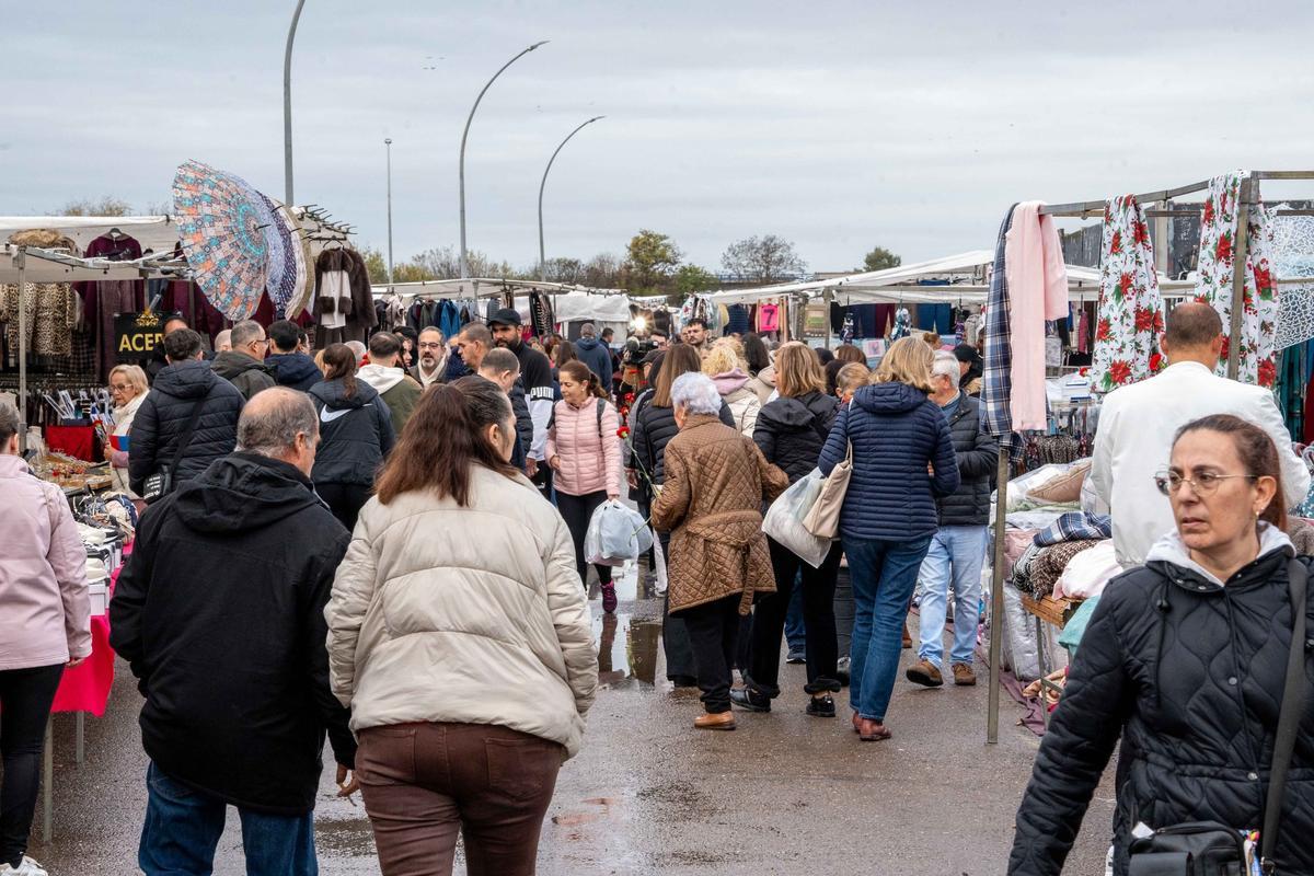 Imagen de varios puestos en el recinto ferial.