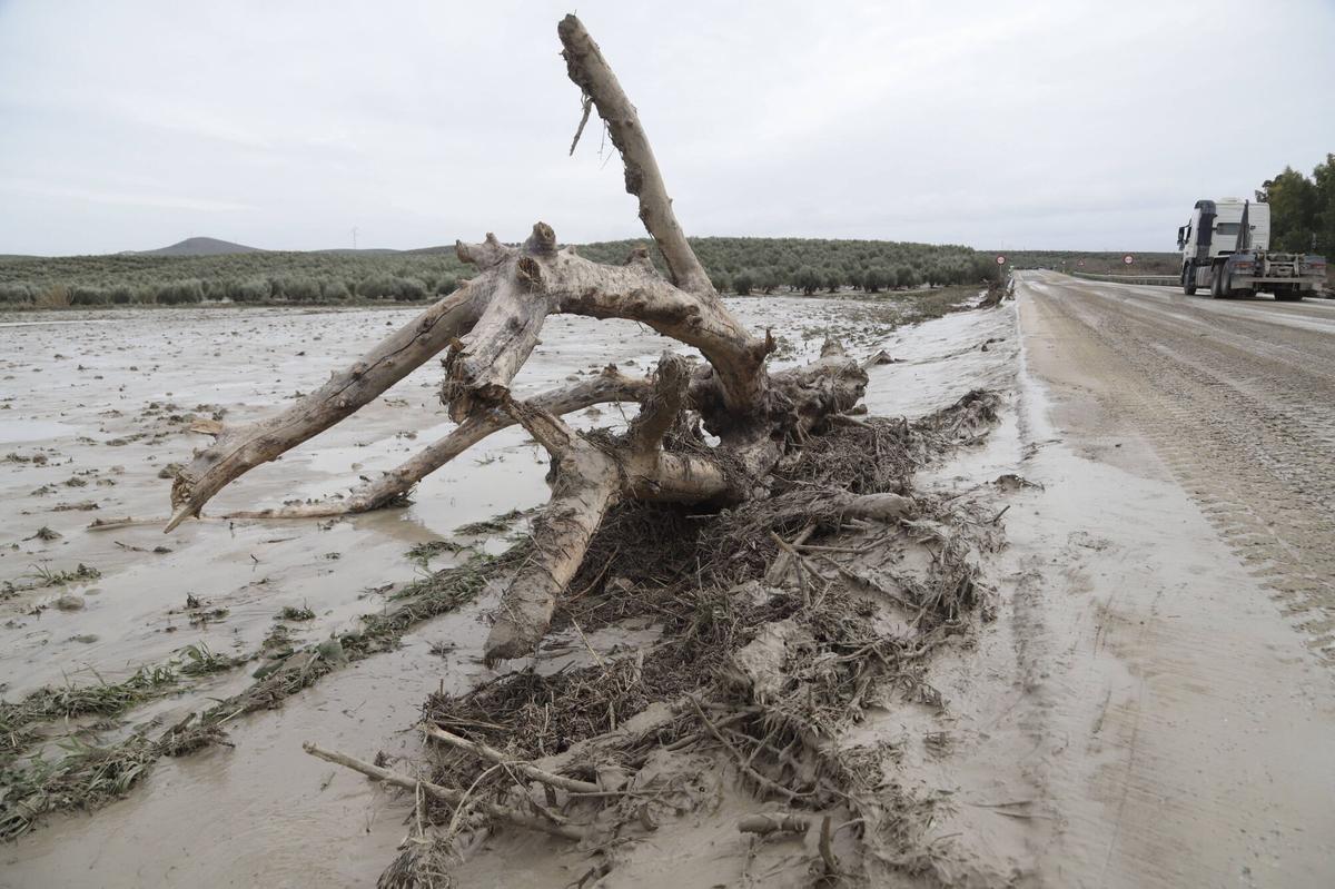 Carretera N-432 a su paso por Torres Cabrera, el pasado miércoles, durante el paso de la borrasca Kristin.