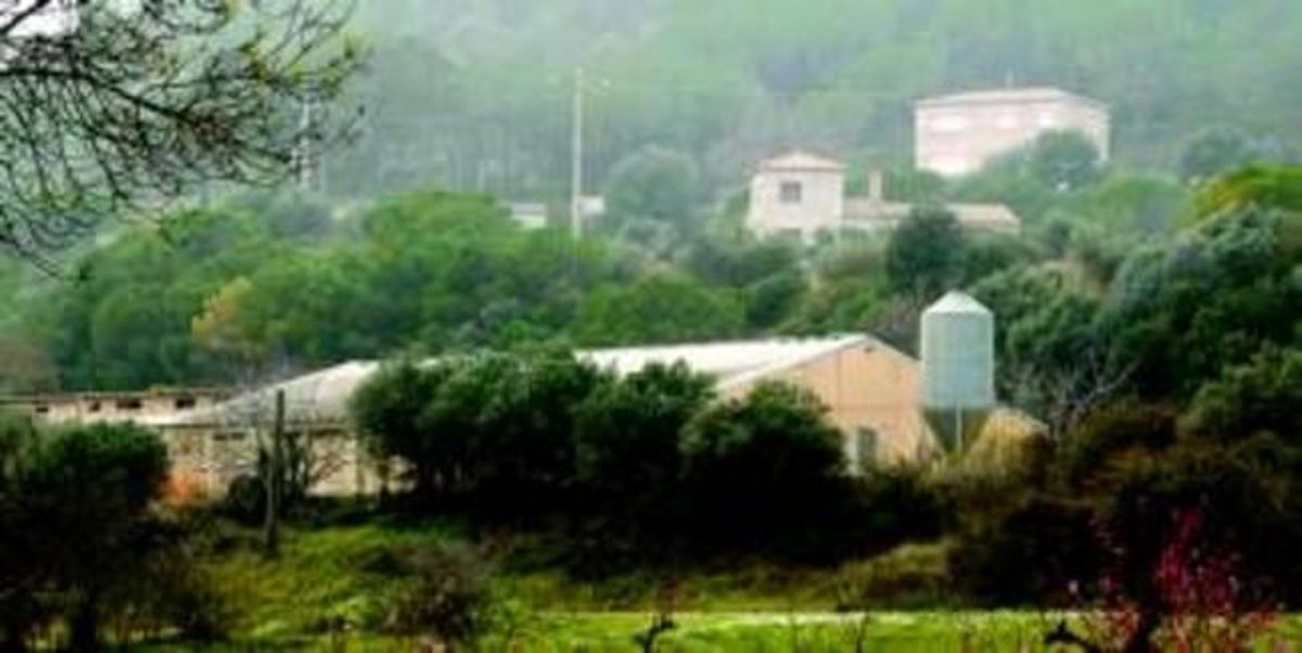 Explotació agrària del municipi de Gualta (Baix Empordà), amb un grup de vivendes a prop.