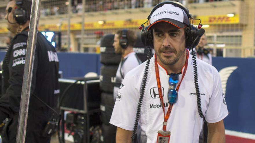 Fernando Alonso pasea por una parrilla esta temporada