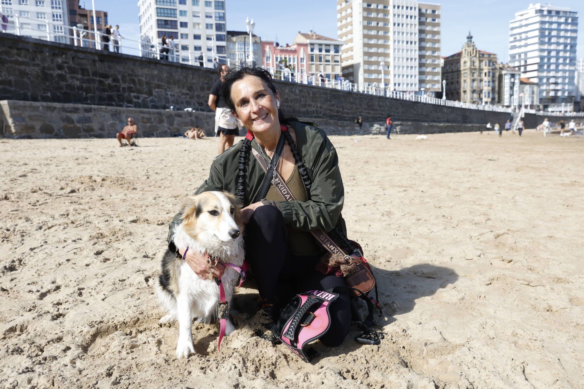 Regreso de los perros a la playa de San Lorenzo.