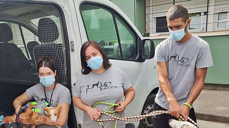 Voluntarios de Galgos del Sur sacan a varios perros de Sadeco. 