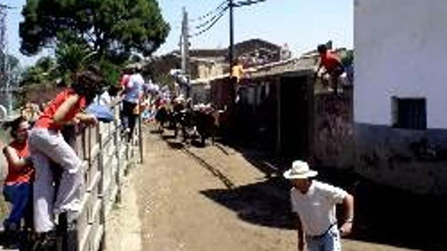 Moraleja difunde San Buenaventura en la Feria del Encierro de Pamplona