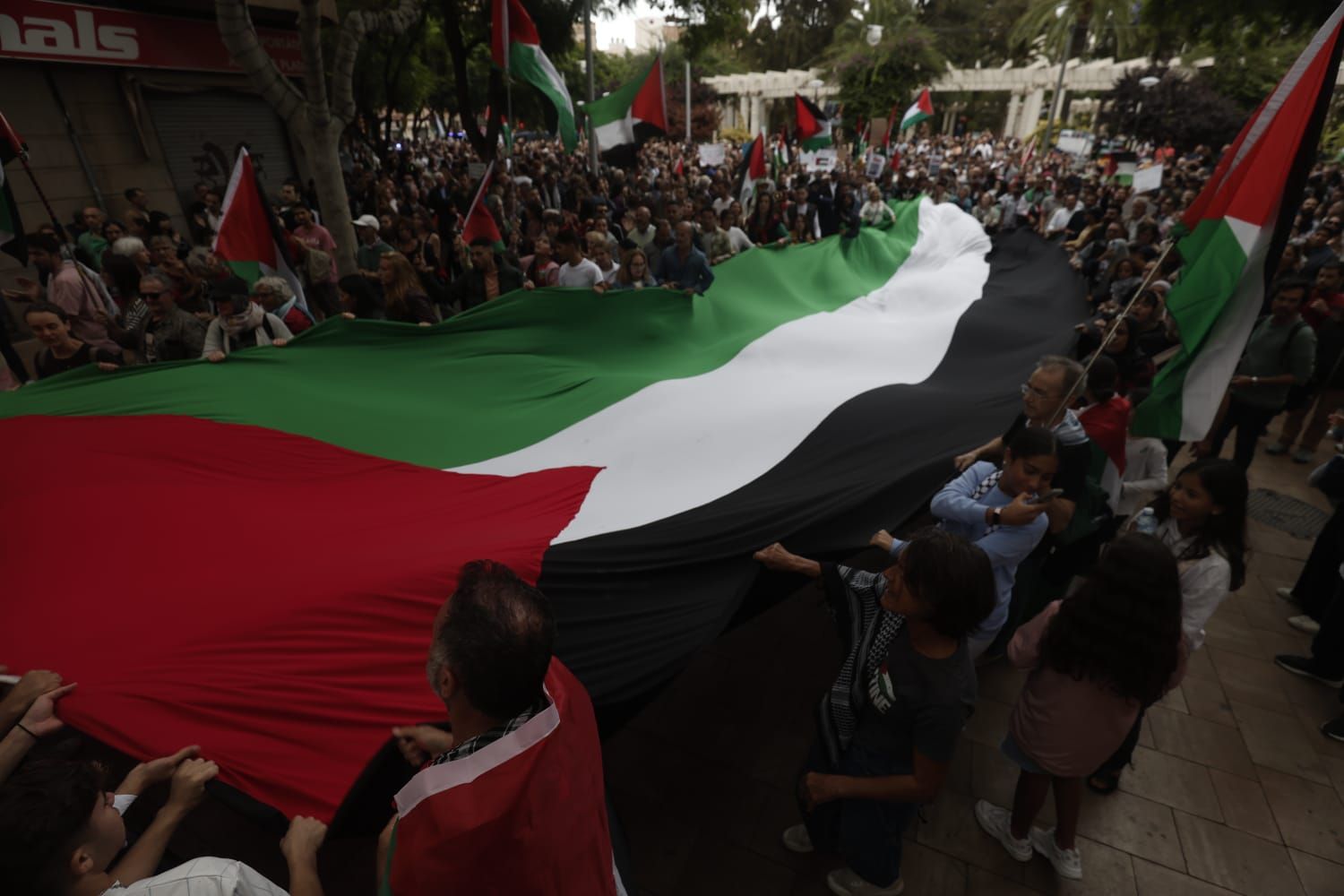 FOTOS | Manifestación en Palma para condenar el genocidio israelí en Palestina