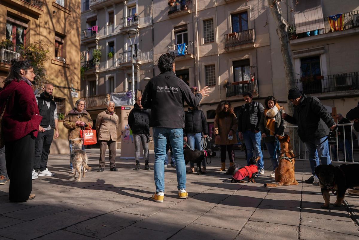 Tallers d’educació canina gratuïts per afavorir una tinença responsable Tallers d’educació canina gratuïts per afavorir una tinença responsable
