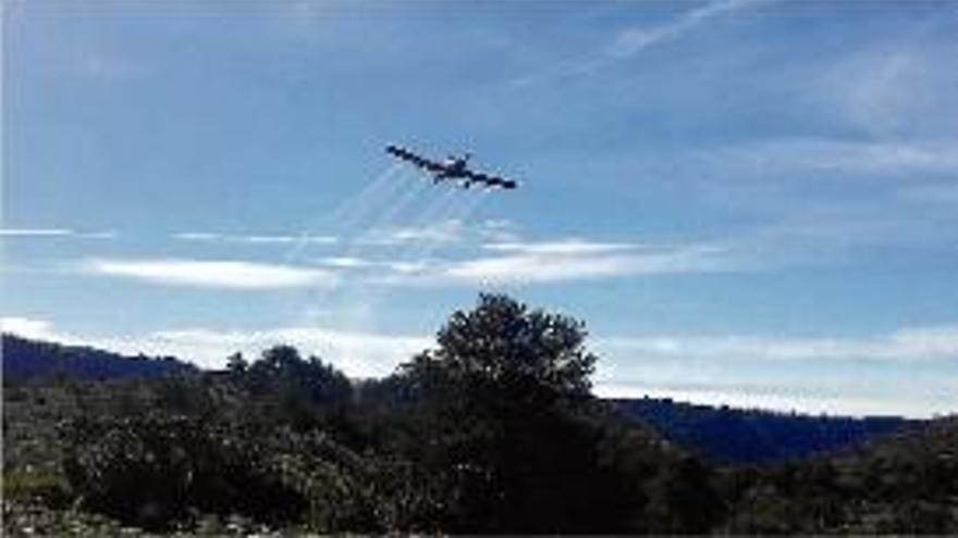 Un avió fumigant una zona afectada per processionària