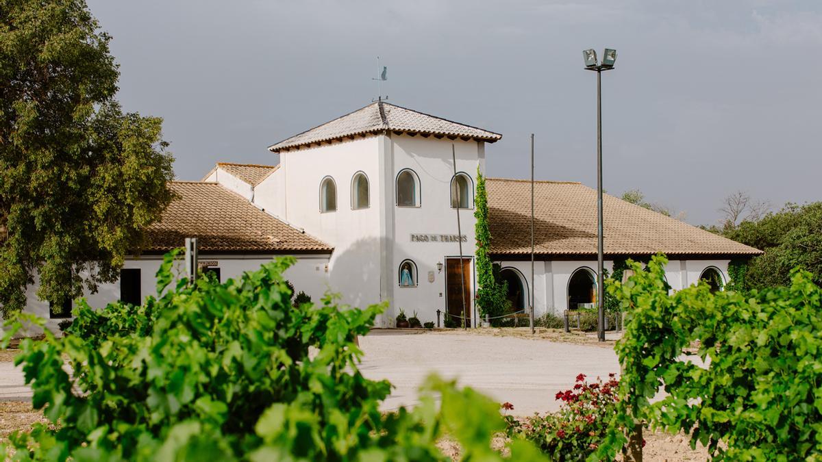 La bodega de Pago de Tharsys está en el centro de una finca de viñedos.