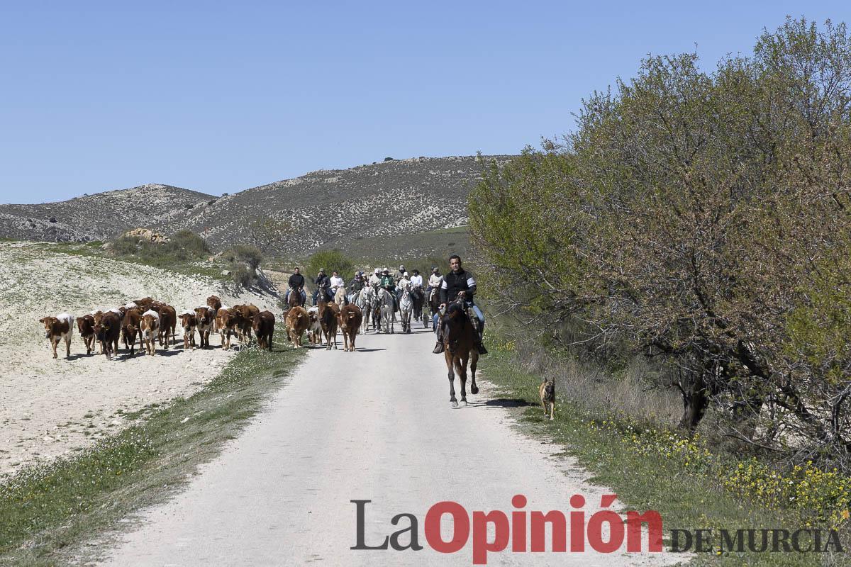 trashumancia/Ganadería La Junquera_002