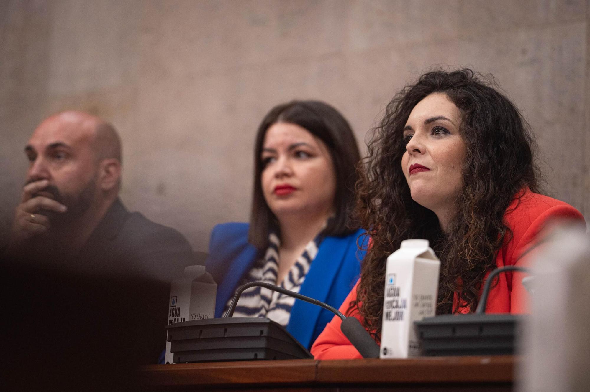 Moción de censura en Granadilla de Abona