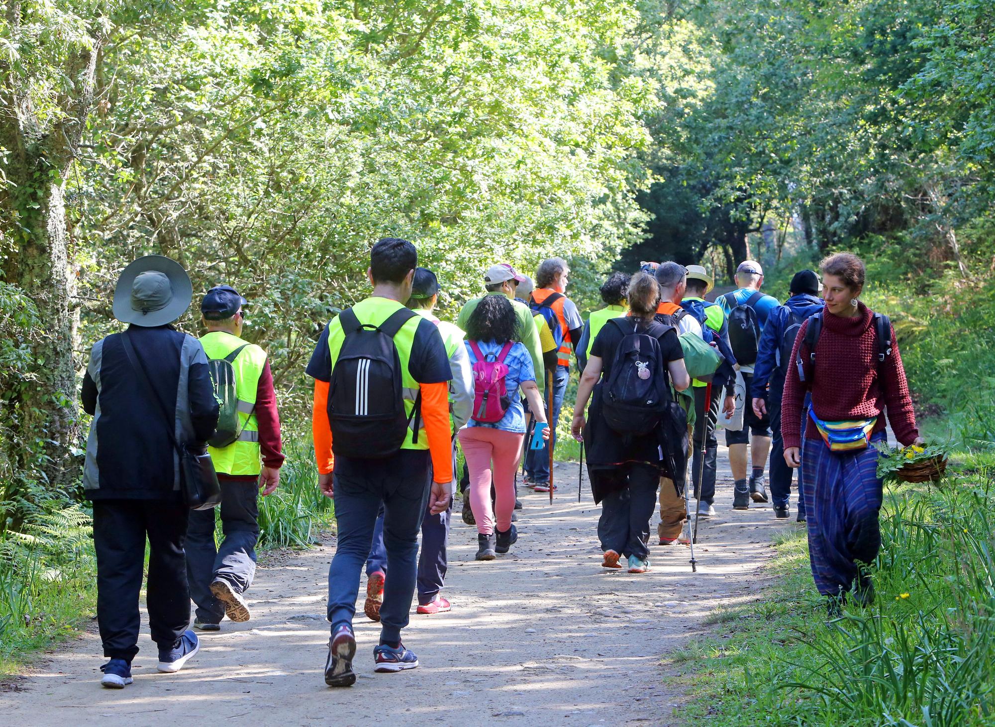 REDONDELA (TRASMAÑO, RANDE). MIEMBROS DE ALCOHOLICOS ANONIMOS HACIENDO EL CAMINO DE SANTIAGO DESDE VIGO A SU PASO POR LA SENDA DA AUGA (O RUTA DE LA TRAIDA).