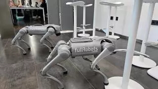 Los robots ya no nos necesitan: la sevillana Savener diseña humanoides controlados por la inteligencia artificial