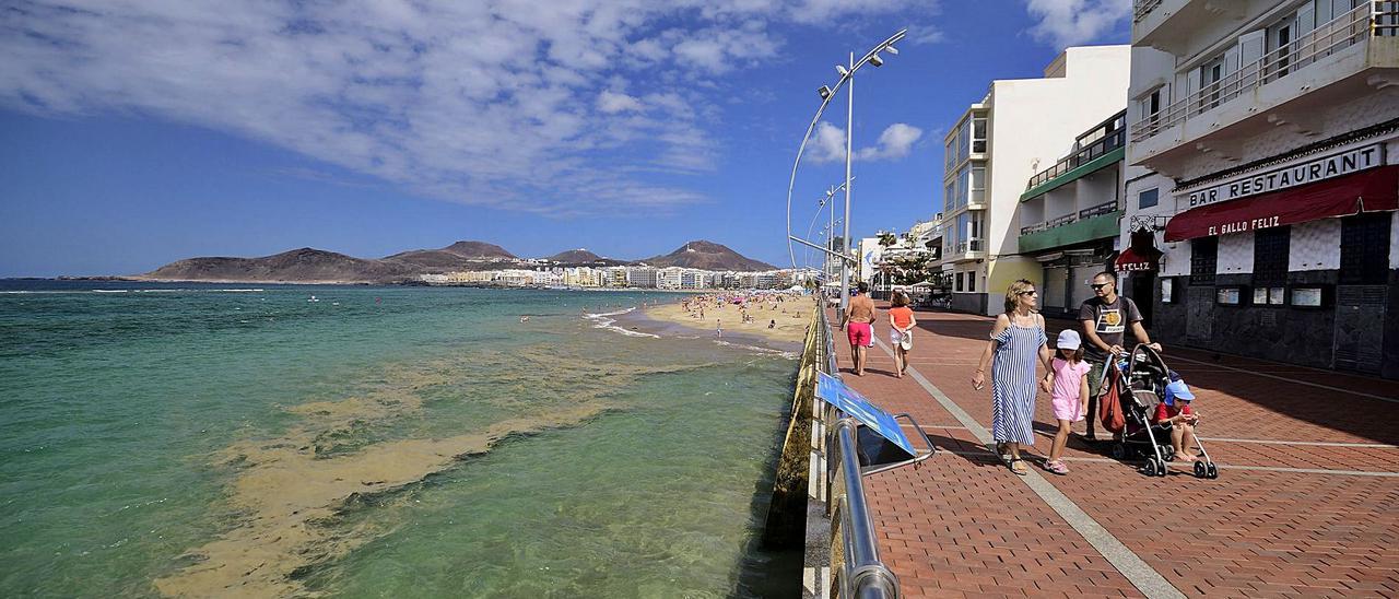 Mancha de microlgas en la playa de Las Canteras, entre Playa Chica y La Puntilla, en 2017.