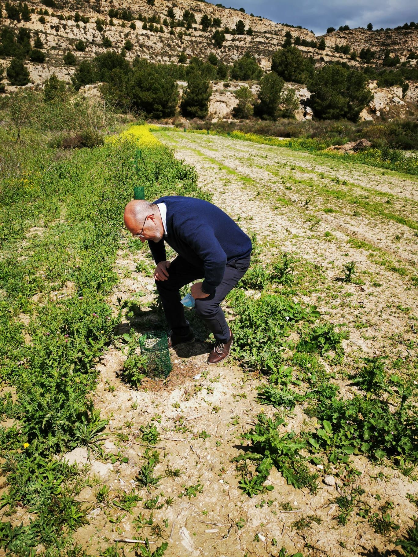 Recuperación del antiguo vertedero de escombros con plantación de árboles en Benejúzar