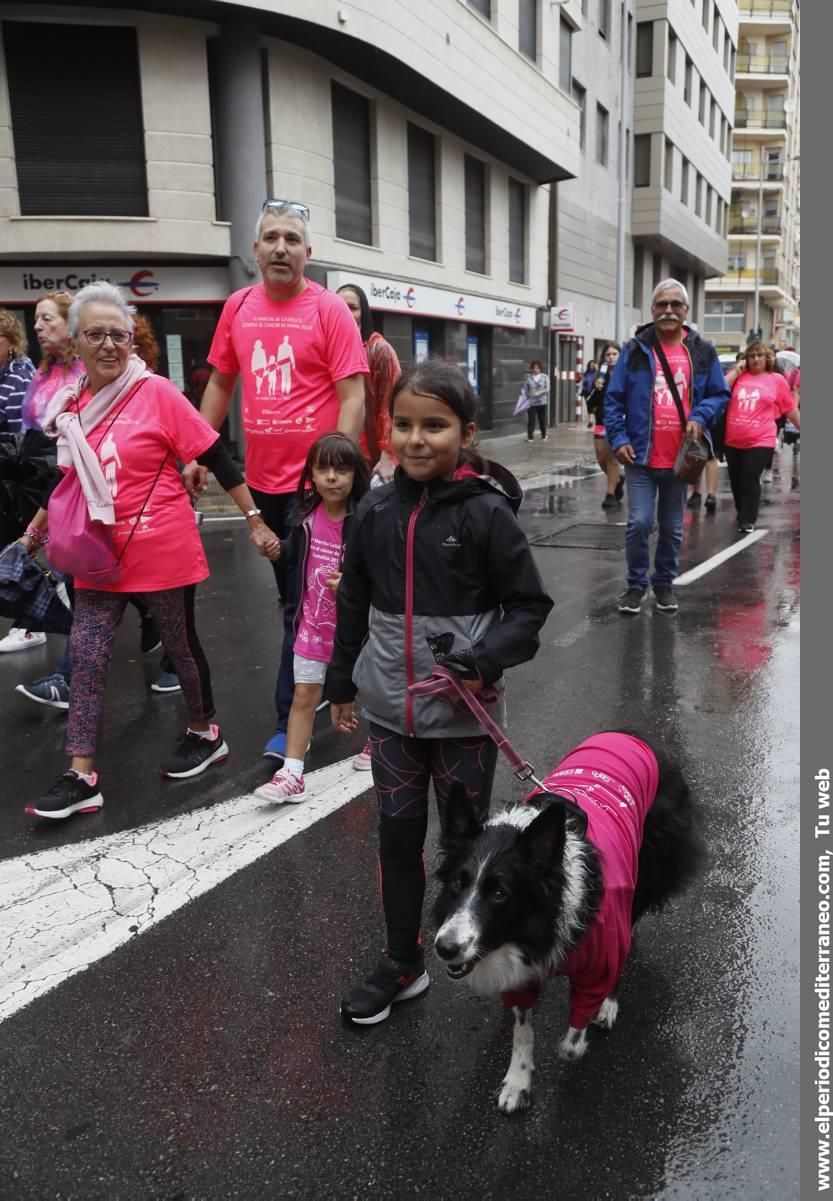 Marcha por la investigación del cáncer de mama en Castellón