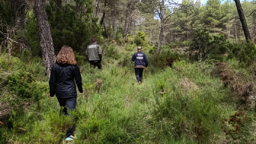 Requena y Utiel revitalizan su territorio para prevenir los incendios forestales y frenar la despoblación