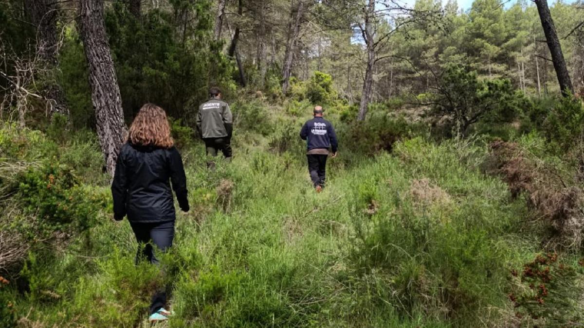 Agentes medioambientales inspeccionando una zona abandonada como parte del proyecto AMUFOR.