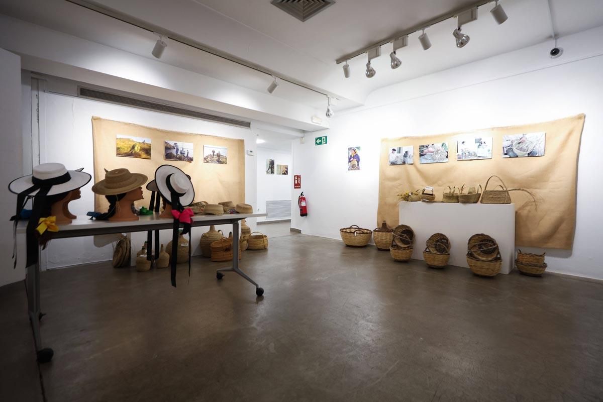 Todas las imágenes de la exposición "Arrels per al futur" en Ibiza