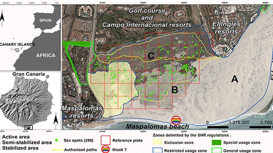 Gráficos que acompañan al estudio sobre el impacto del cruising en las Dunas de Maspalomas.