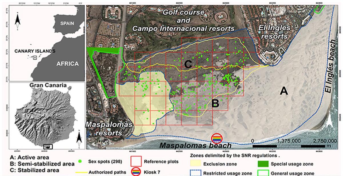 Gráficos que acompañan al estudio sobre el impacto del cruising en las Dunas de Maspaloma.
