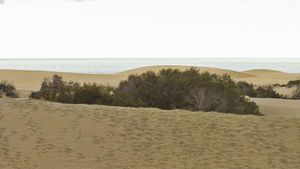 El sexe fa malbé les dunes de Maspalomas