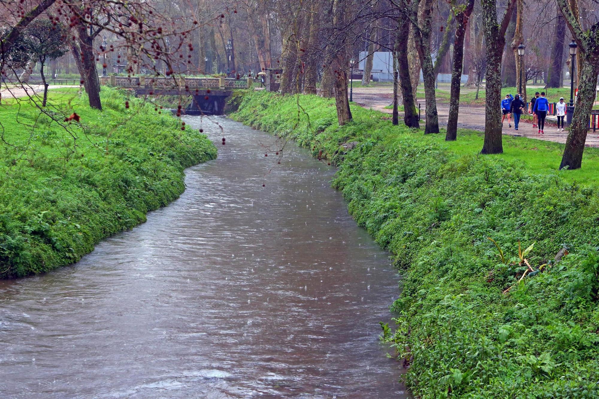 El Lagares, cerca de desbordarse con la intensas lluvias