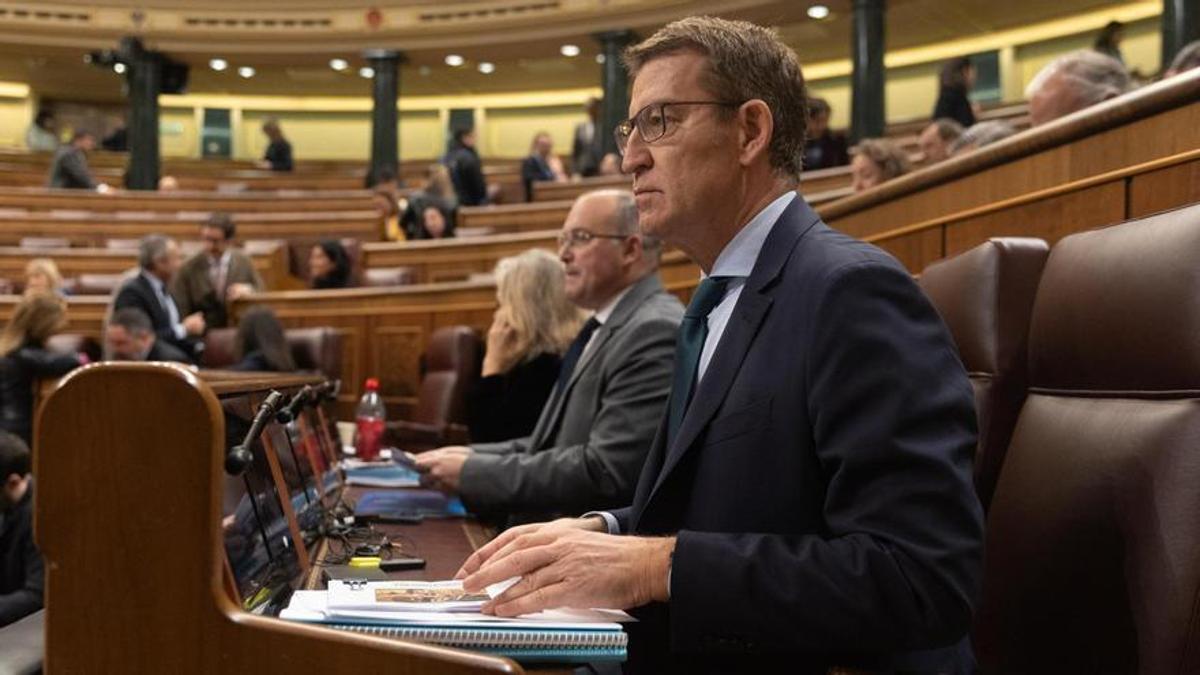 El líder del PP, Alberto Núñez Feijóo, en el pleno del Congreso.