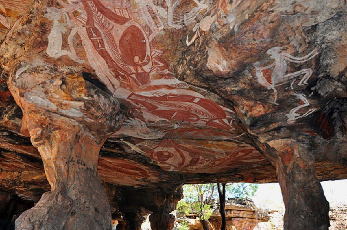 El professor Bryce Barker mostra un refugi en pedra, pintat per aborígens fa 28.000 anys, cosa que el converteix en el descobriment prehistòric més antic d’Austràlia.