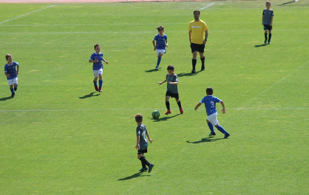 Búscate en las fotos de la VI Fiesta del Deporte de Málaga