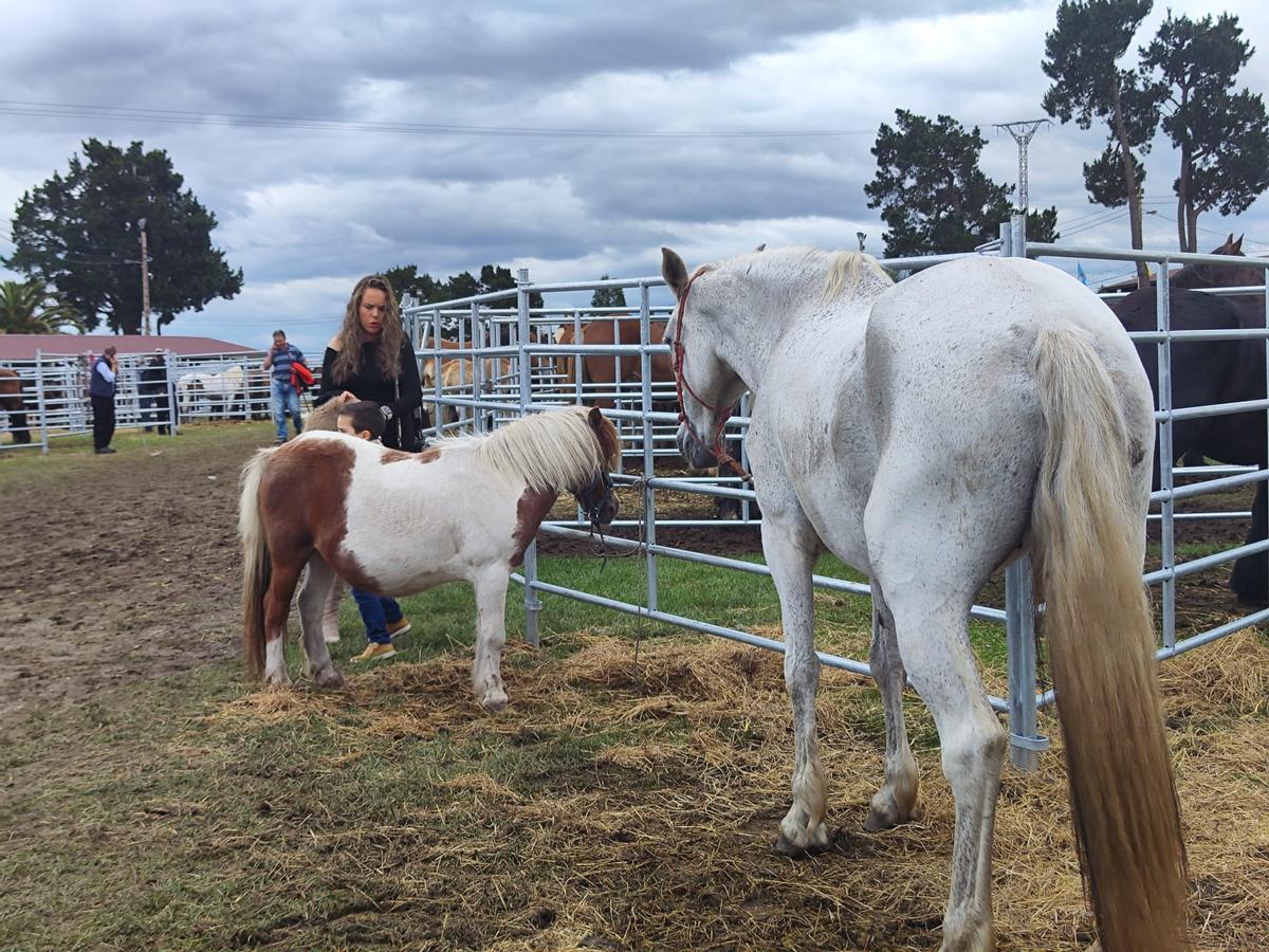 La feria de San Isidro, en imágenes