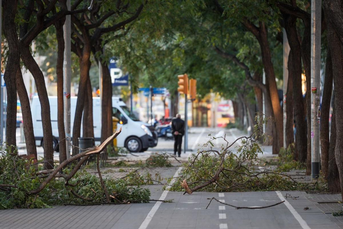Efectos del temporal de viento en la calle de Tarragona, a la altura de Consell de Cent