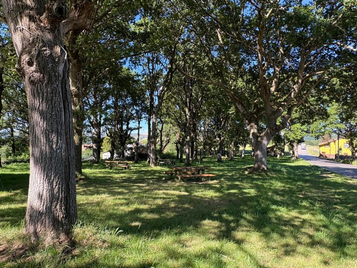 Vista del área recreativa de El Fresno en la que se instalará el parque.
