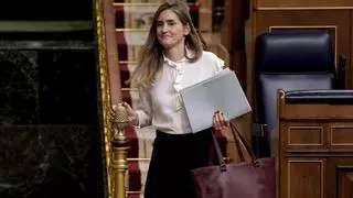 El Gobierno prepara pagos millonarios a eléctricas y gran industria para evitar apagones