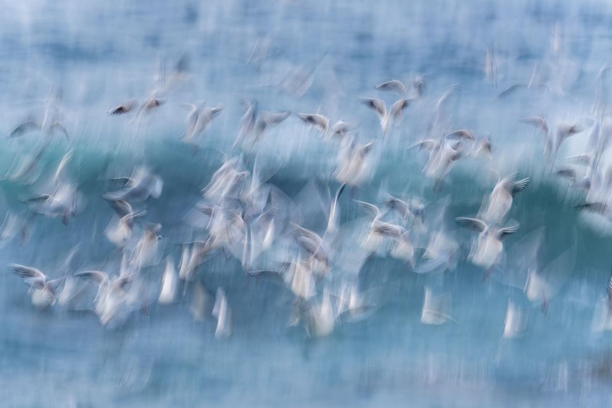 Una de las imágenes seleccionadas para la Colección de Honor.