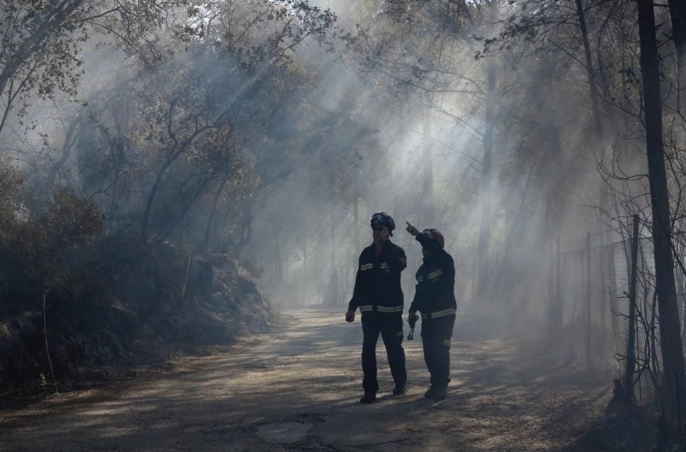 Waldbrand bei Puigpunyent