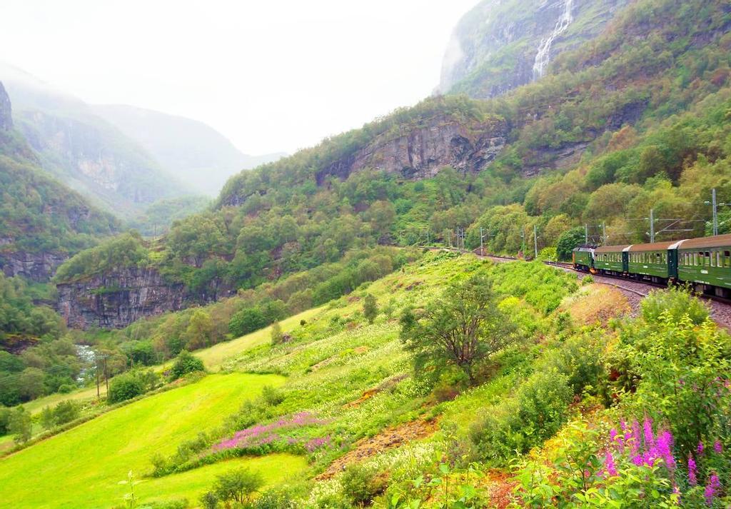 Vista de los parajes noruegos a través de un viaje en el tren.