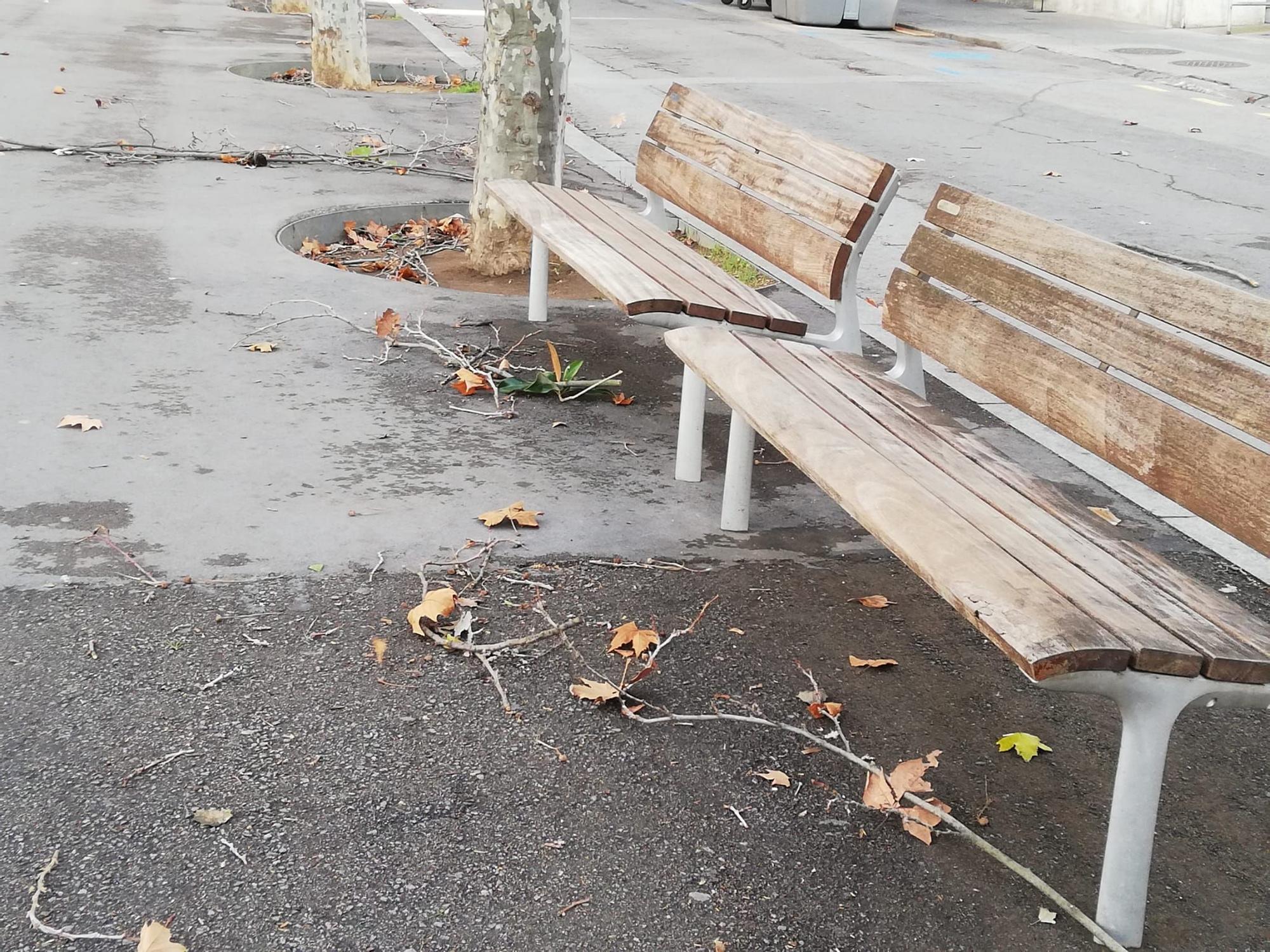 Els efectes del temporal de vent, a Manresa